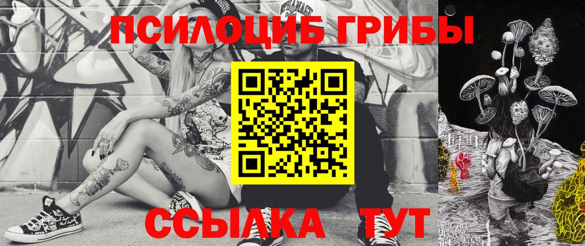 Новоуральск  Псилоцибиновые грибы Magic Shrooms  Галлюциногенные грибы Magic Shrooms  Вход с VPN 