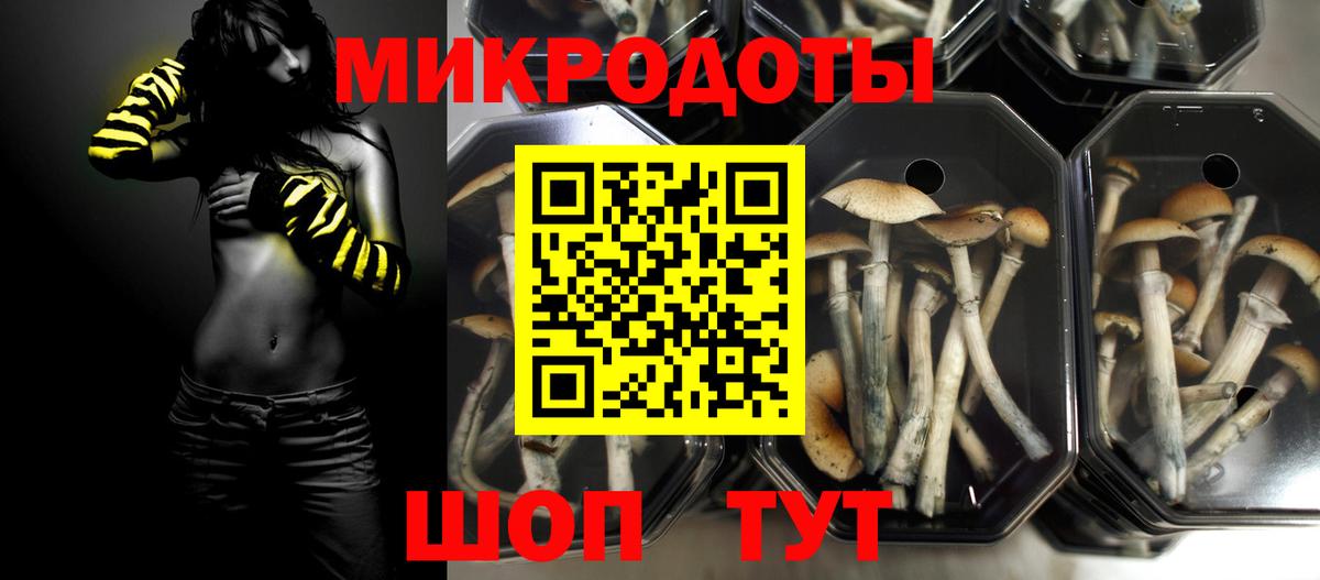 Псилоцибиновые грибы мухоморы Новоуральск